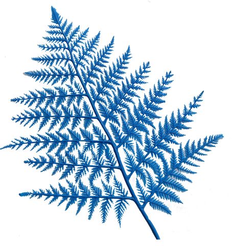 FERNS PLASTIC BLUE