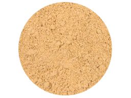 SPICE GROUND GINGER SS 1KG