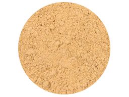 SPICE GROUND GINGER SS 1KG