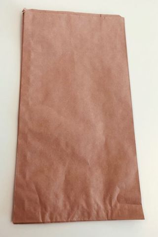 PAPER NO.19 HWS BROWN PLAIN BAGS [250]