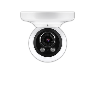 MEGApix IVA vandal ball IP camera with 2.8mm fixed lens