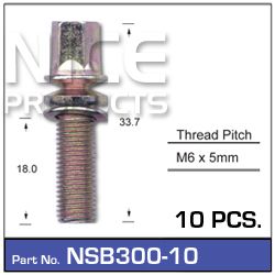 Shear Bolt (10)