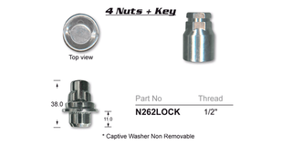 Lock Nuts (set of 4)