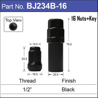 Lock Nuts Black (16)