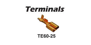 Terminal