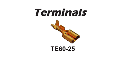 Terminal