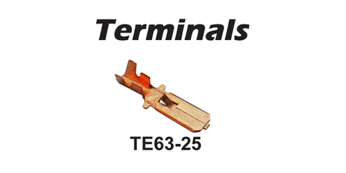 Terminal