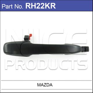 Rear Door Handle