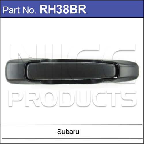 Rear Door Handle