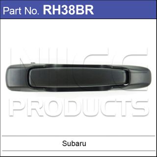 Rear Door Handle