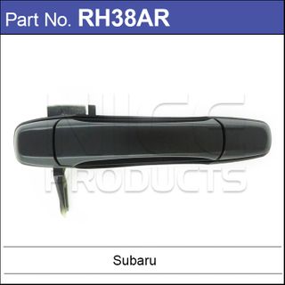 Rear Door Handle