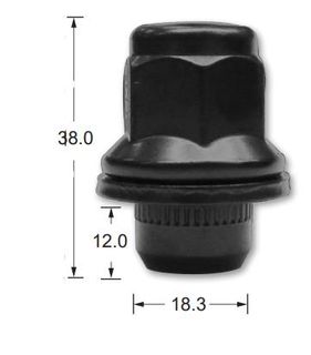 Wheel Nuts pk100