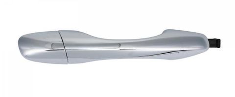 Rear Door Handle