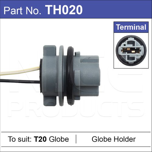 T20 Globe Holder