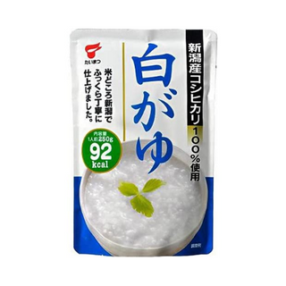 SHIRO GAYU / PORRIDGE RICE (WHITE)/10x4