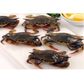 SOFT SHELL CRAB 70/100 1kg/10