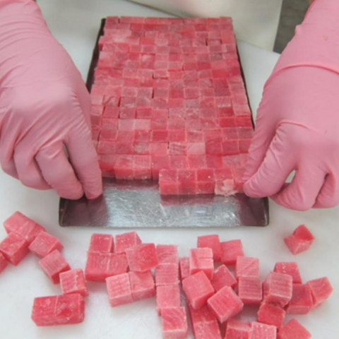 FROZEN TUNA CUBED 250G/20