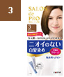 DR Salon de Pro Brighten Brown #3/6x6