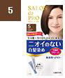 DR Salon de Pro Natural Brown #5/6x6