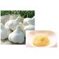 GROUND GARLIC PASTE 1KG/10