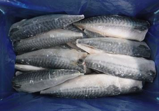 SABA FILLET 35P 5kg/1x2