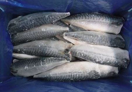 SABA FILLET 35P 5kg/1x2