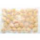 H TAKOYAKI M 20G 50p/5x2