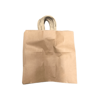 PAPER CARRY BAG MEDIUM