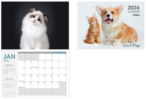 2026 Collins A4 Cats & Kittens Wall Calendar - 11294613