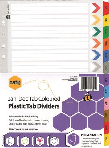 A4 COLOURED PLASTIC INDICES JAN - DEC