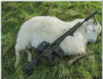 ASE Utra  Jet-Z CQB - Review NZ Guns & Hunting Magazine