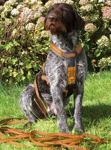 Niggeloh  Hunting Dog Equipment 2020 Catalogue Part 2