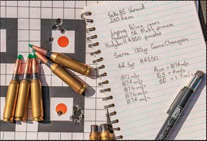 Sierra: Game Changer