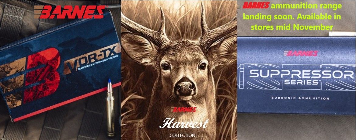 Barnes ammo