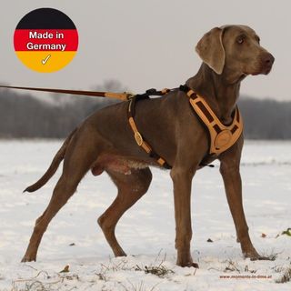 Niggeloh Dog Equipment