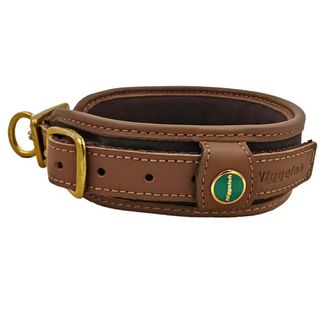 Dog Collars