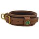 Dog Collars