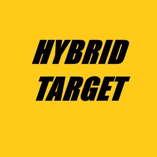 Hybrid Target