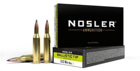 NOSLER 243 Win 90gr Ballistic Tip (20 ct.)