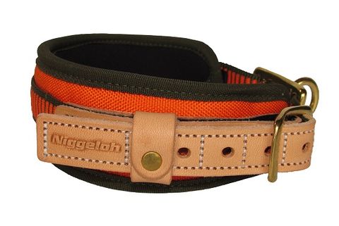 BLOOD TRACKING COLLAR