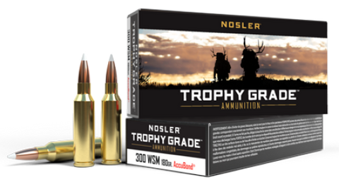 NOSLER 300 WSM 180gr AccuBond (20 ct.)