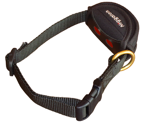 NIGGELOH SAFETY DOG COLLAR WITH RECEIVER POUCH
