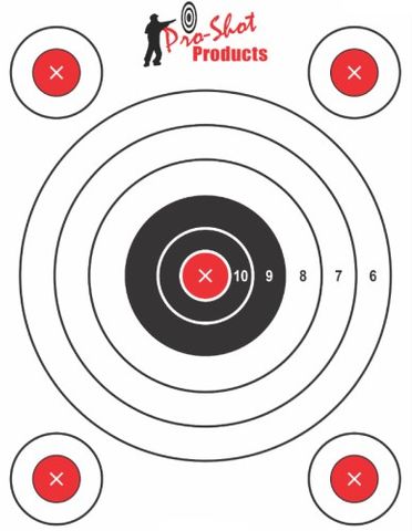 PROSHOT 9"' X 13.5"  BULLSEYE TARGET W/ADHESIVE - 6 PACK