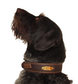 LEATHER COLLAR