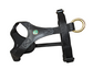 DOG HARNESS FOLLOW START