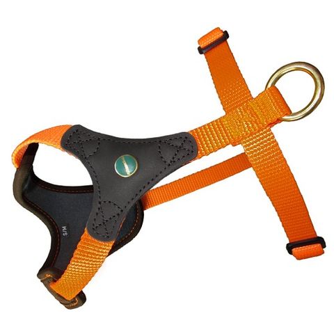 DOG HARNESS FOLLOW START