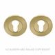 EURO CYLINDER ESCUTCHEONS MATT SATIN BRASS