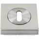 SYLVAN KEY HOLE ECUTCHEONS