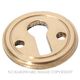 CUPBOARD LOCK ESCUTCHEONS POLISHED BRASS