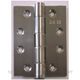 HINGES STAINLESS STEEL